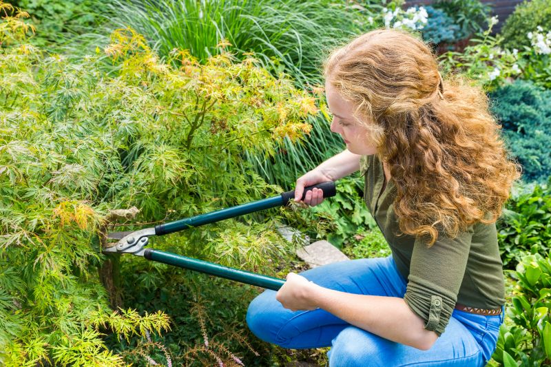 Tree Trimming