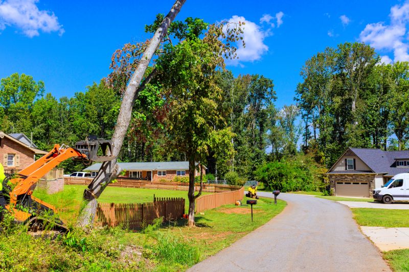 Residential Tree Removal Crew