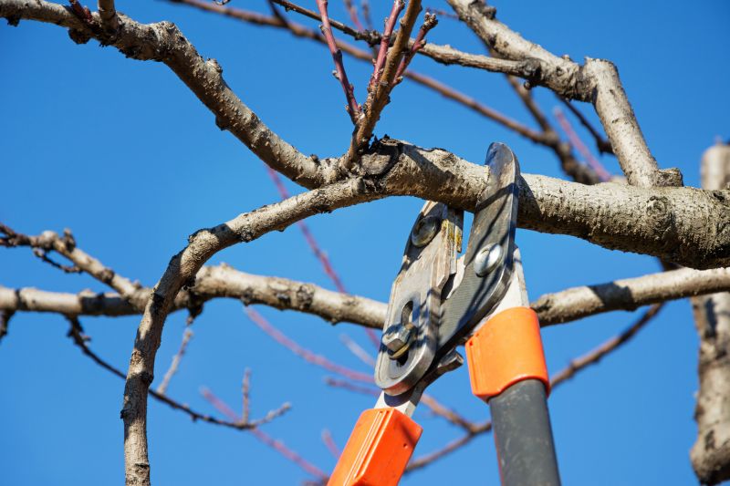 Winter Structural Pruning