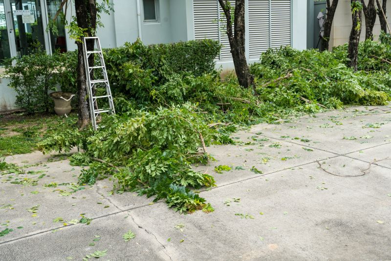 Clean-Up and Debris Removal
