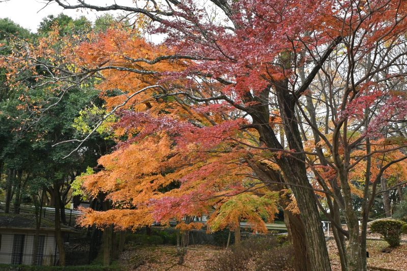 Enhance Aesthetic Appeal